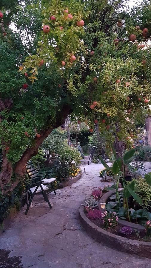Al Gazebo Bed and breakfast Verona